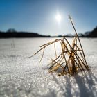 Der Frühling kommt