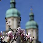 Der Frühling kommt :-)