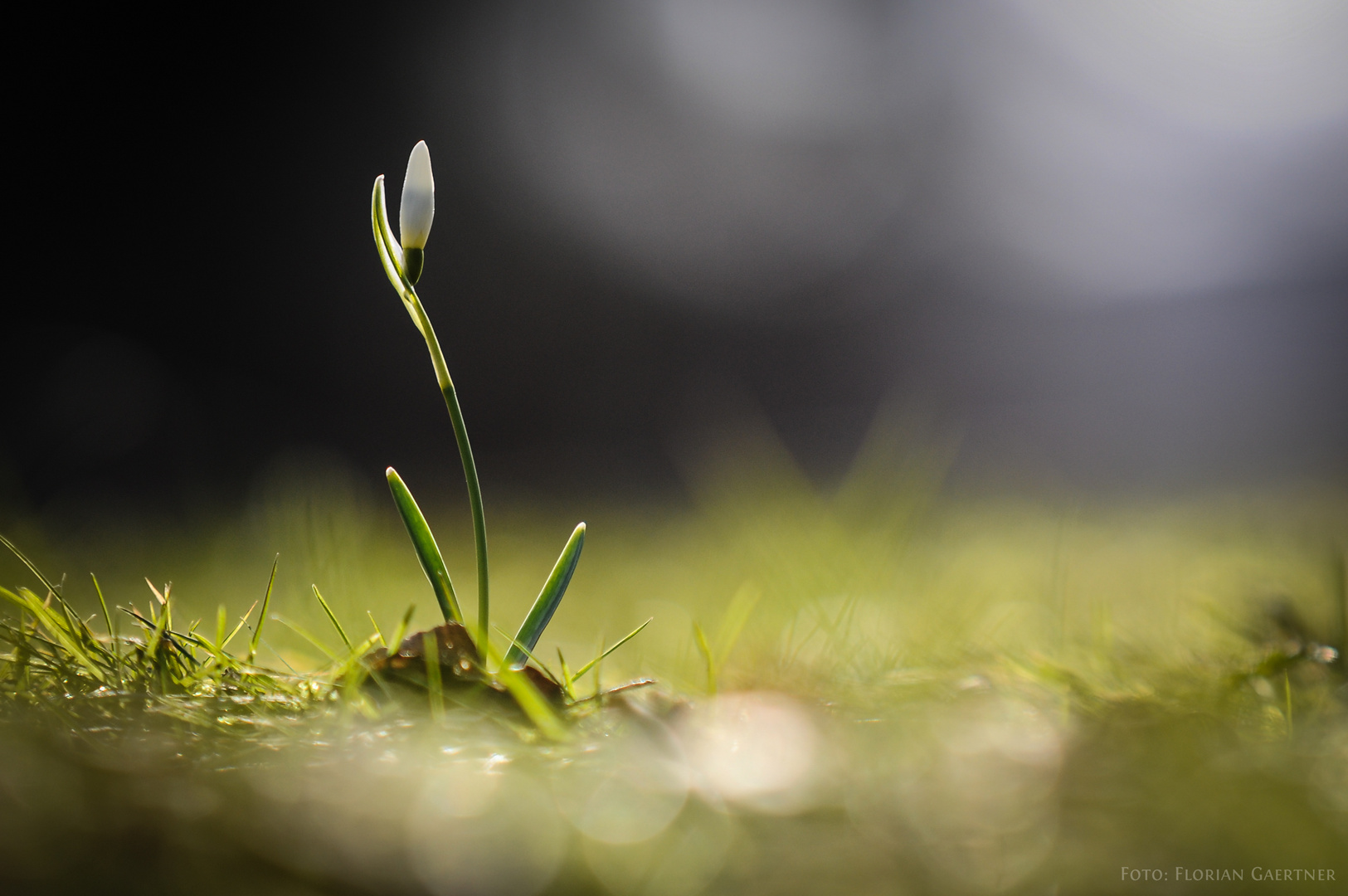 Der Frühling kommt!