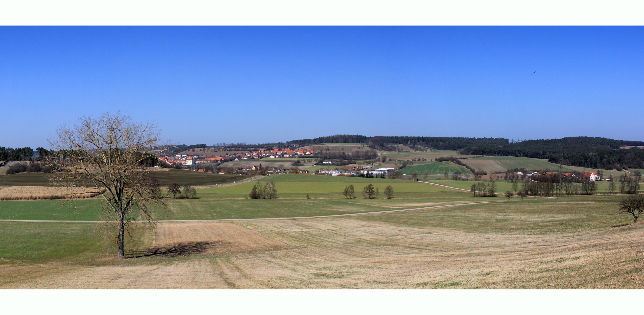 Der Frühling kommt .....