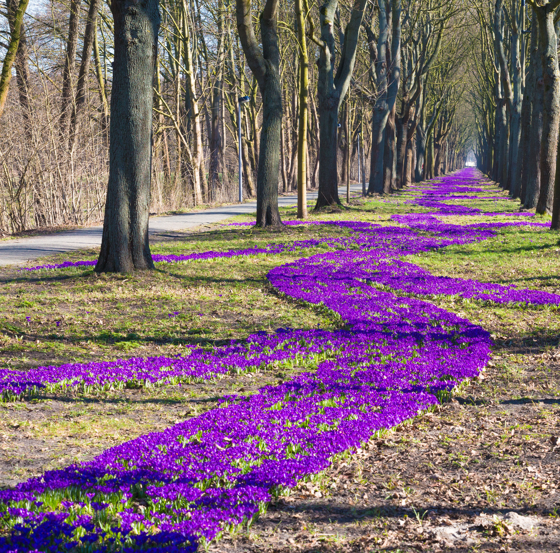 Der Frühling kommt