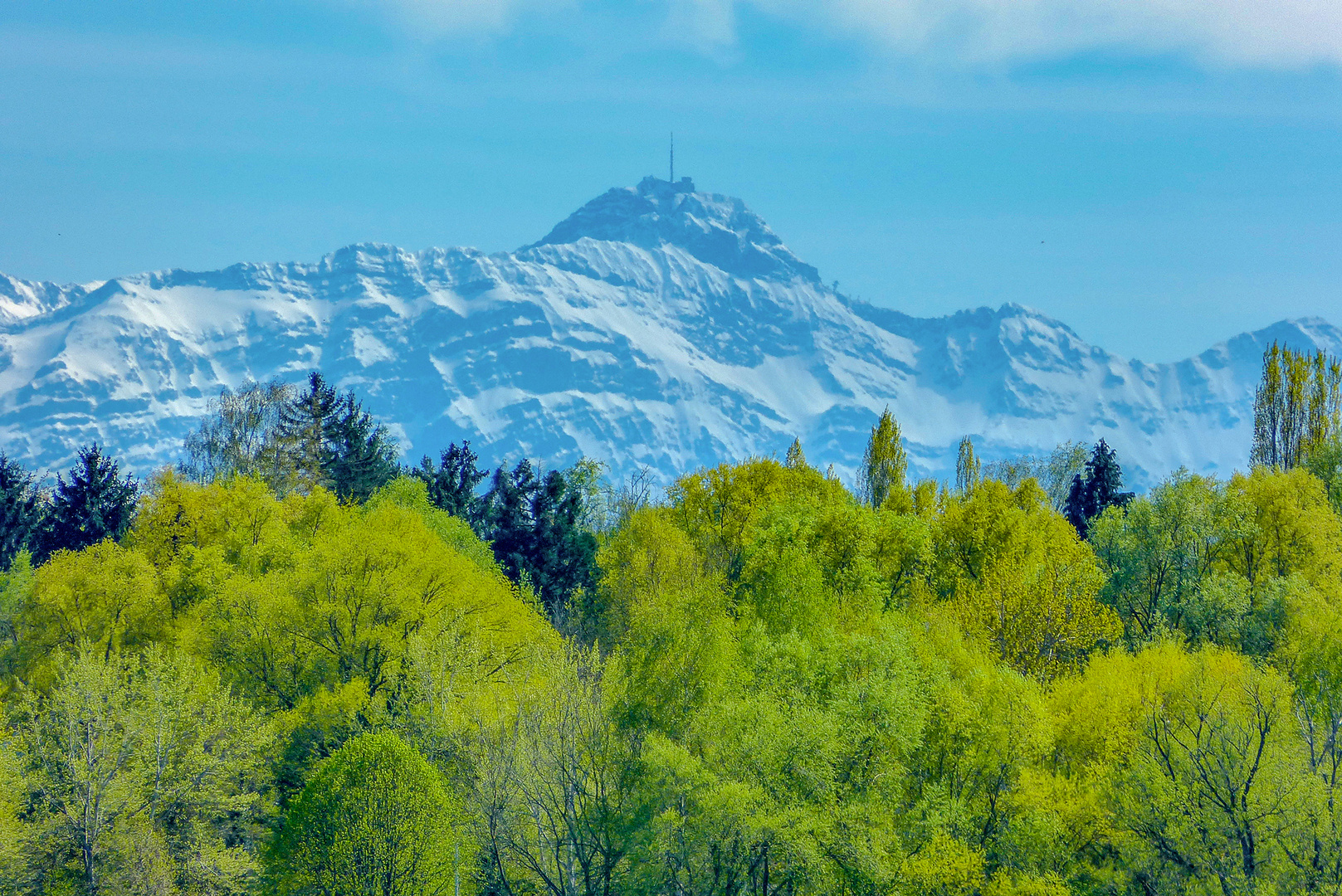 Der Frühling kommt