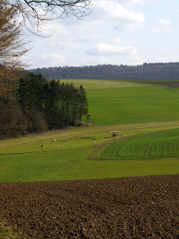 Der Frühling kommt