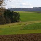 Der Frühling kommt