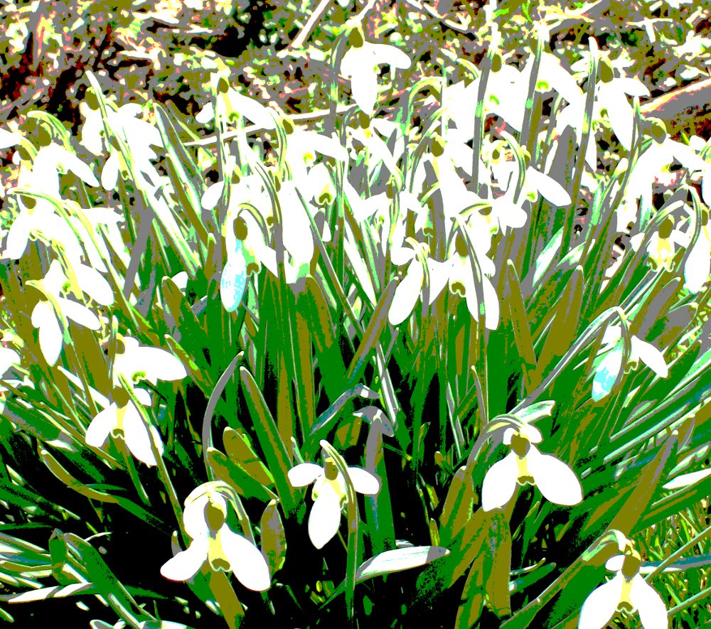 der Frühling kommt