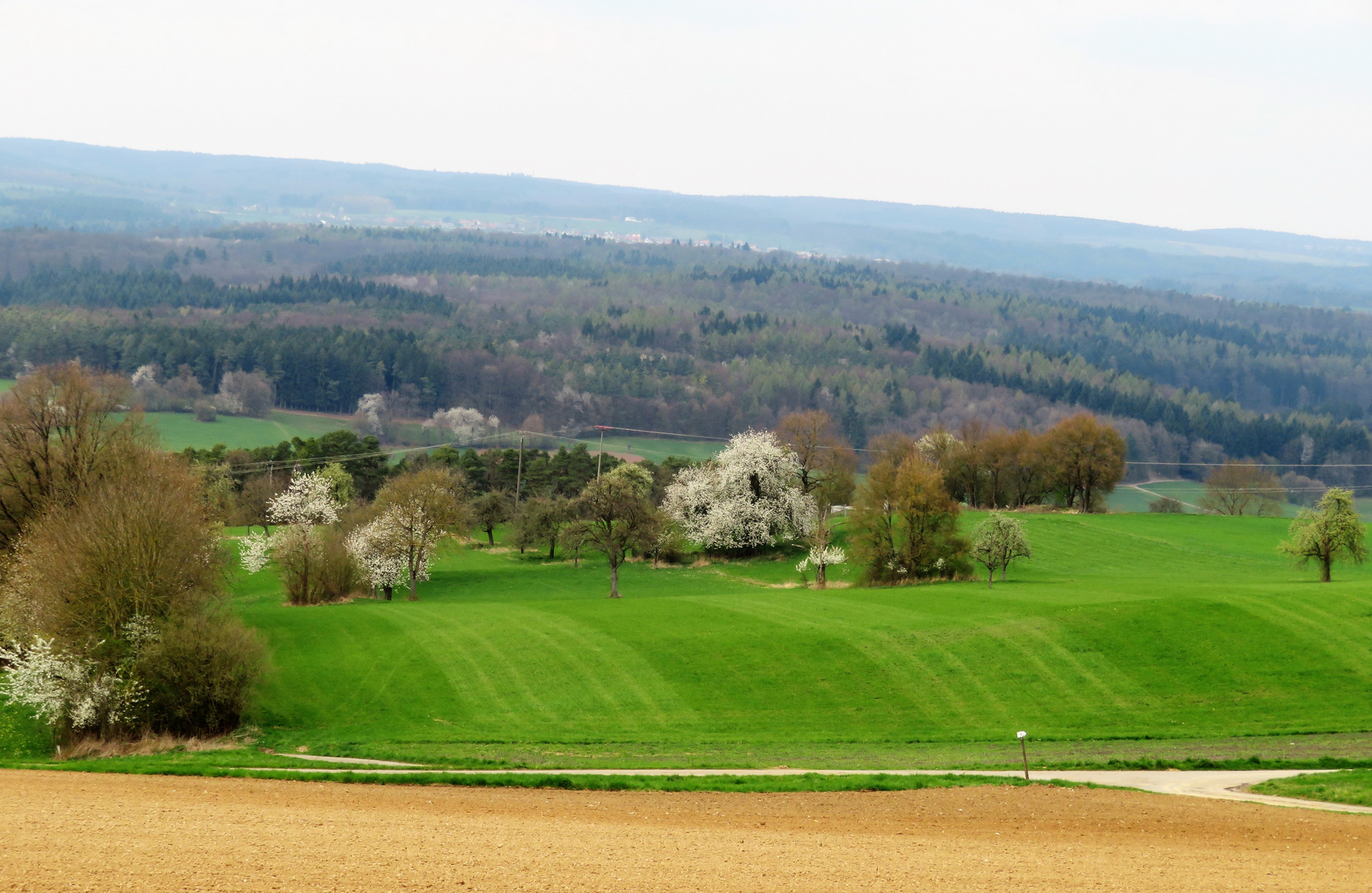 Der Frühling kommt