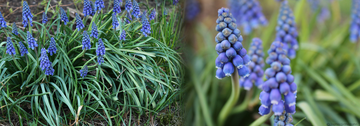 Der Frühling kommt