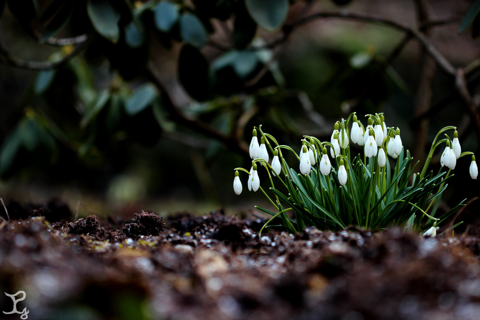 Der Frühling kommt