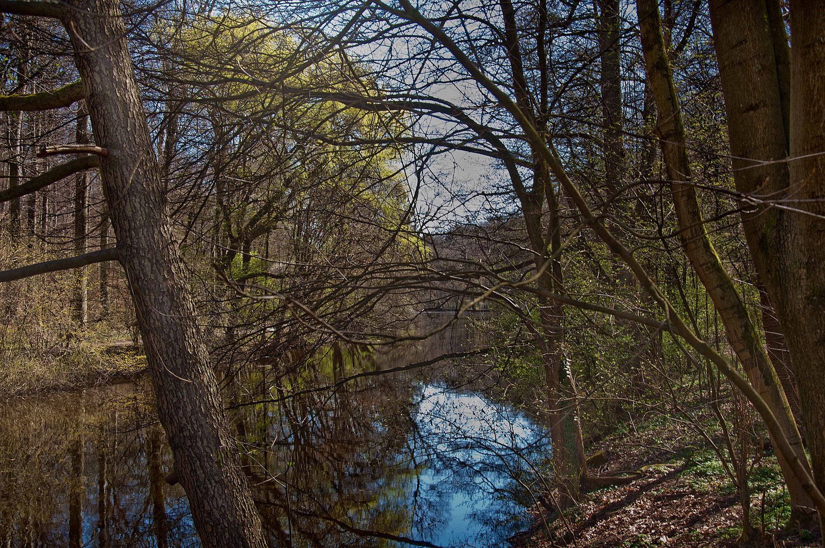 der Frühling kommt