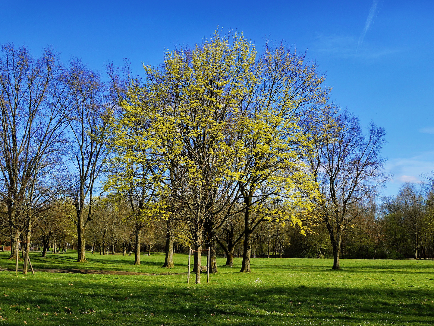 Der Frühling kommt :-)