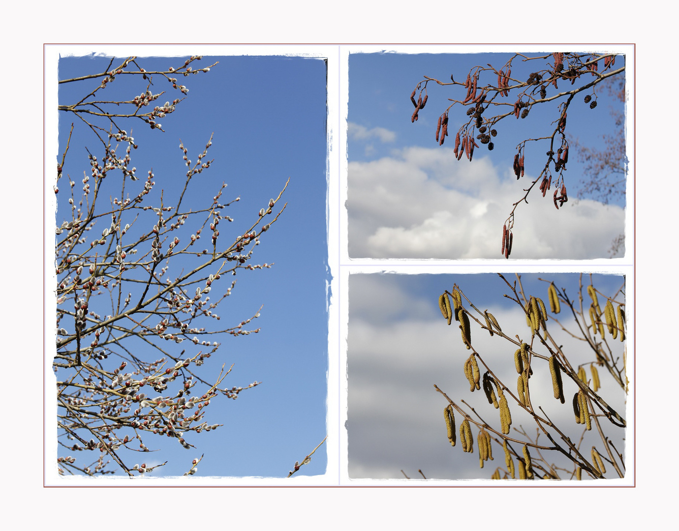 der Frühling kommt ...