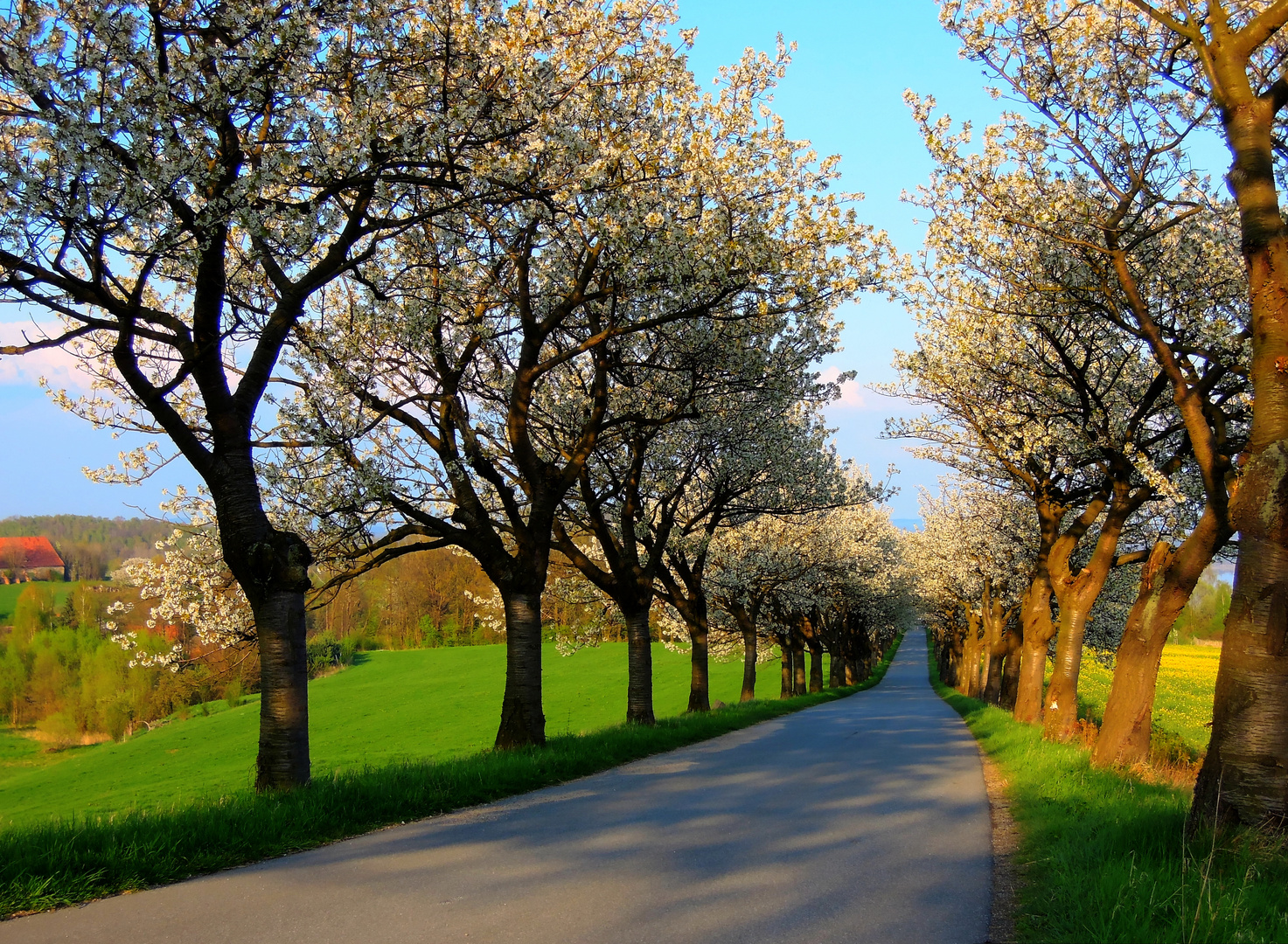 Der Frühling kommt!