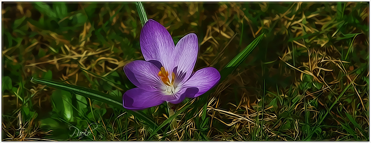 Der Frühling kommt!