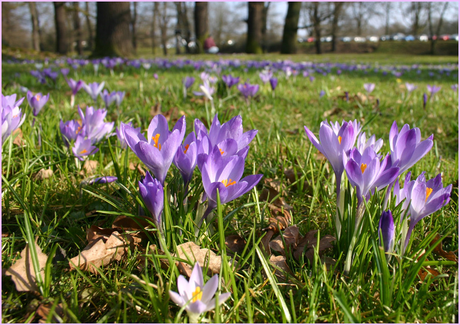 Der Frühling kommt ......