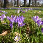 Der Frühling kommt ......