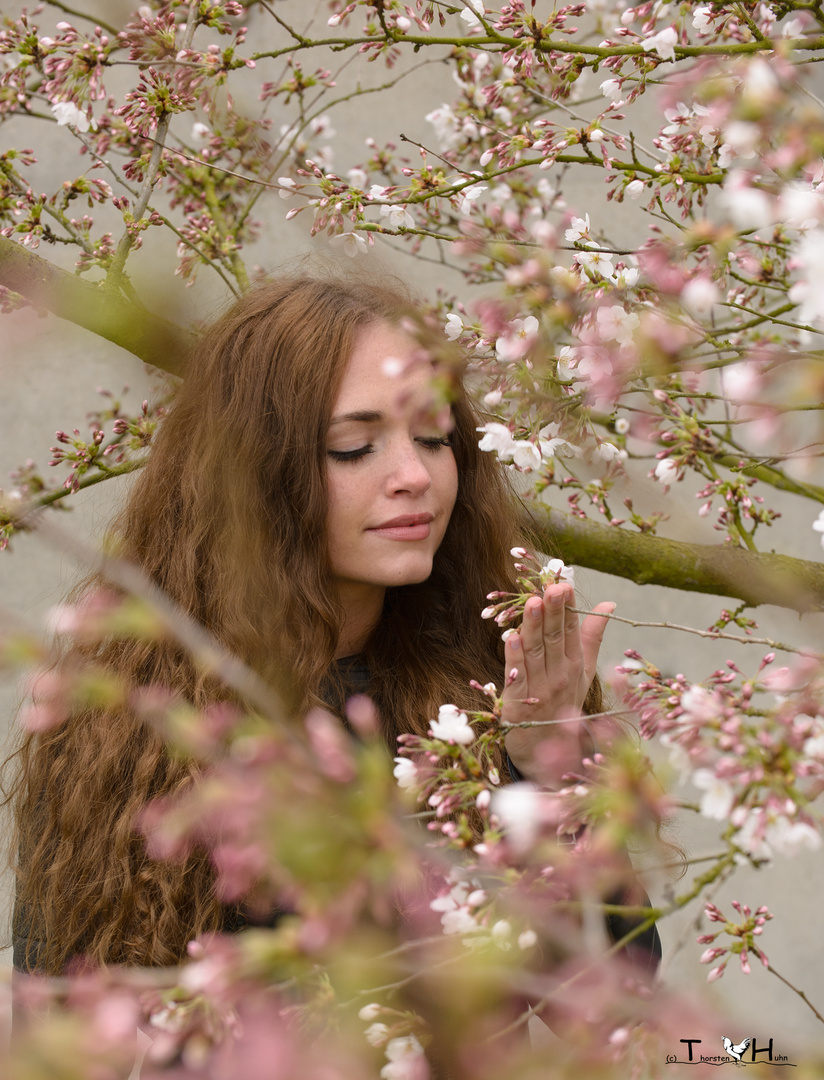 Der Frühling kommt