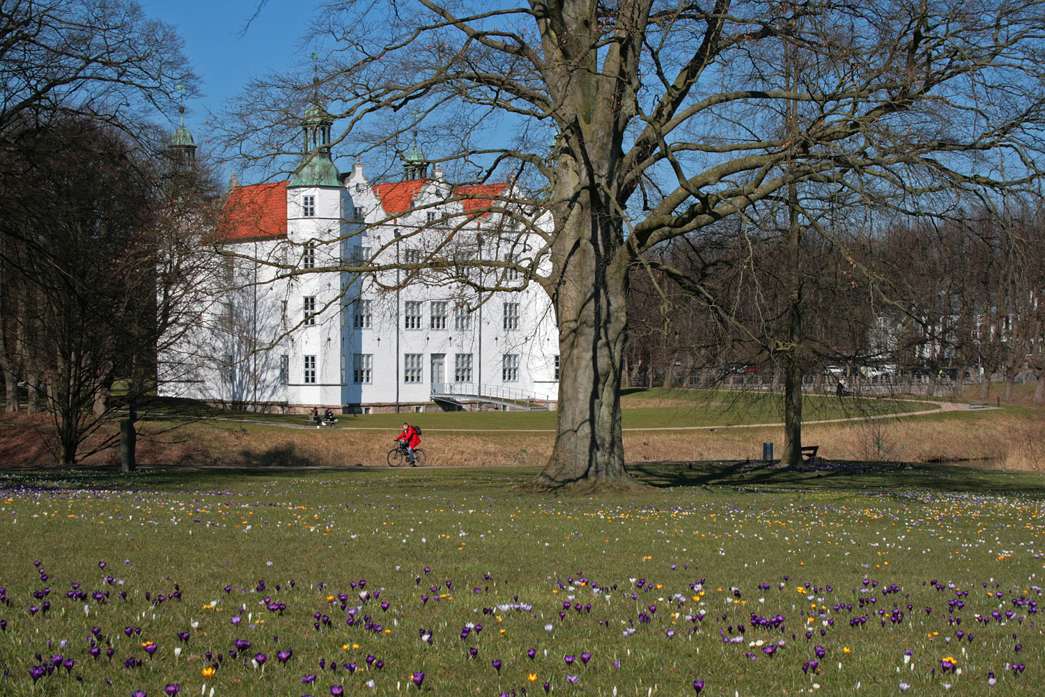 Der Frühling kommt....