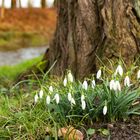 Der Frühling kommt