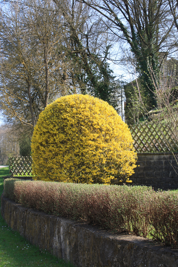 Der Frühling kommt