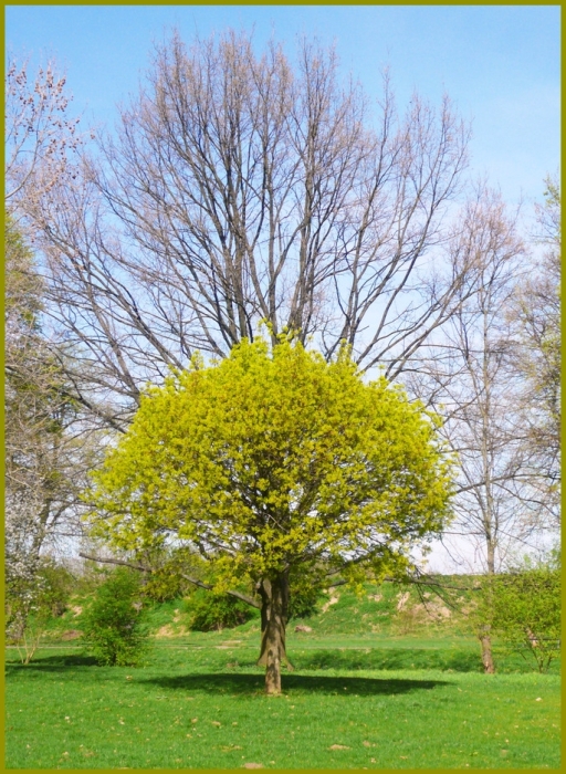 Der Frühling kommt auf Raten