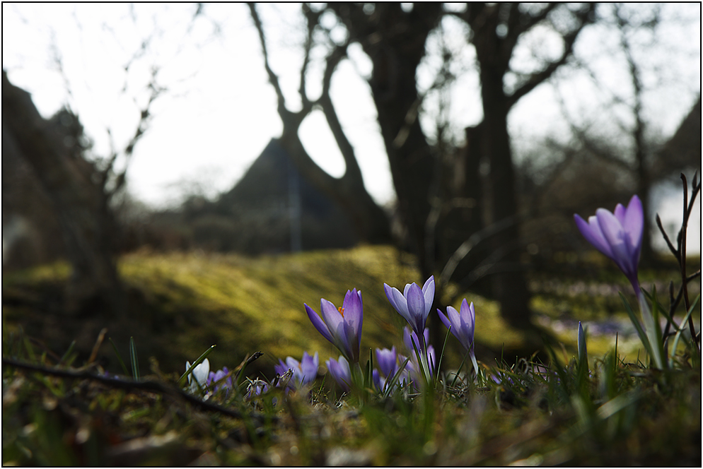 Der Frühling kommt aus der Deckung