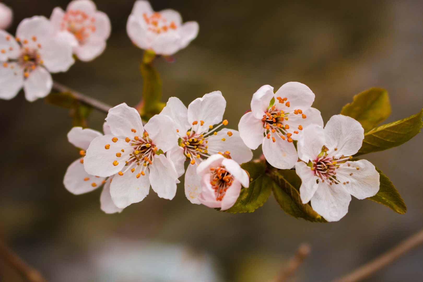 Der Frühling kommt!