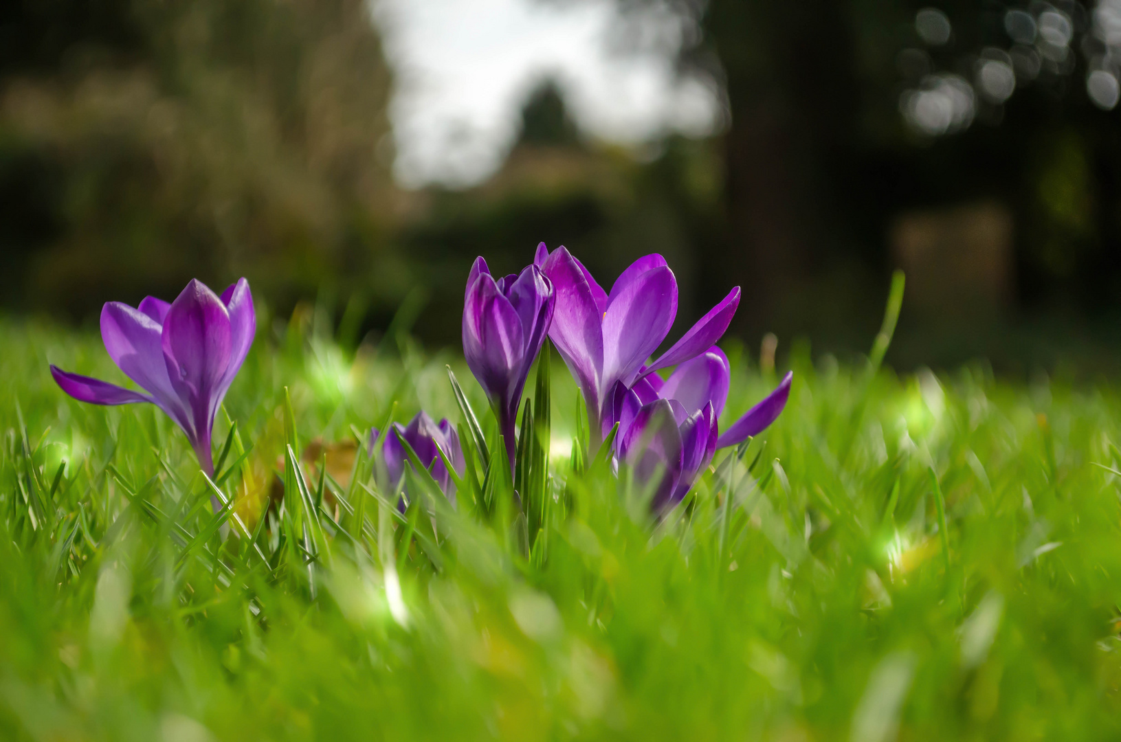 Der Frühling kommt