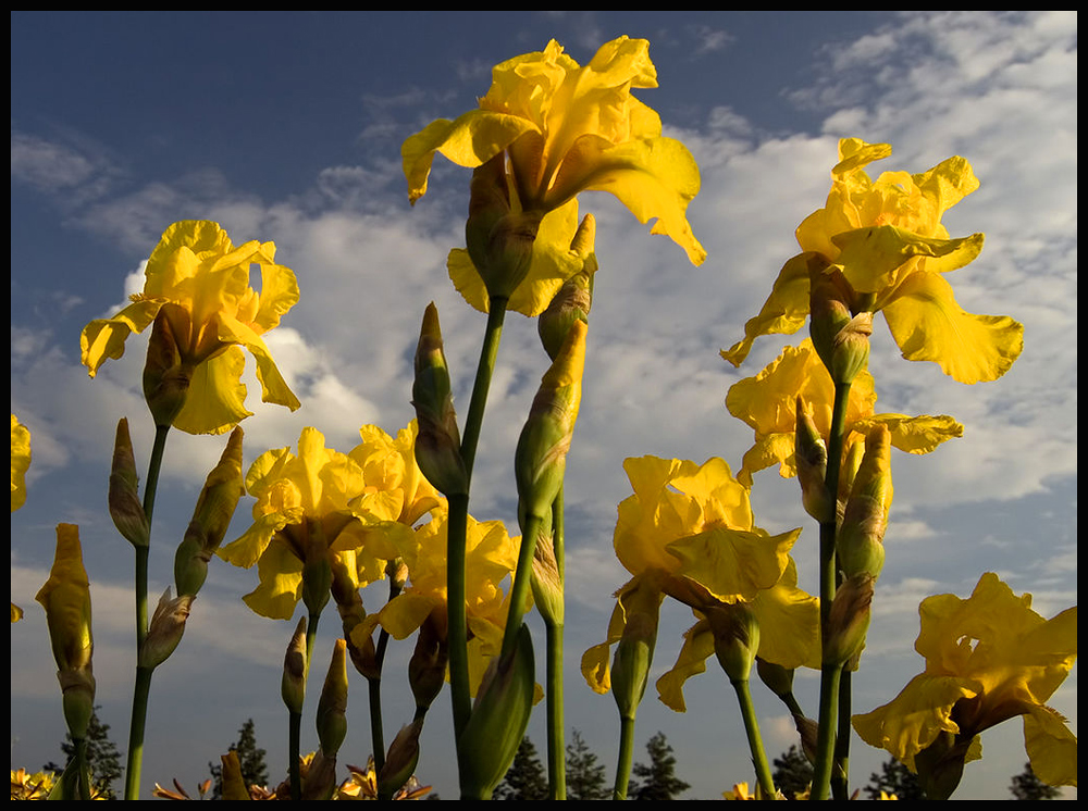 Der Frühling kommt !