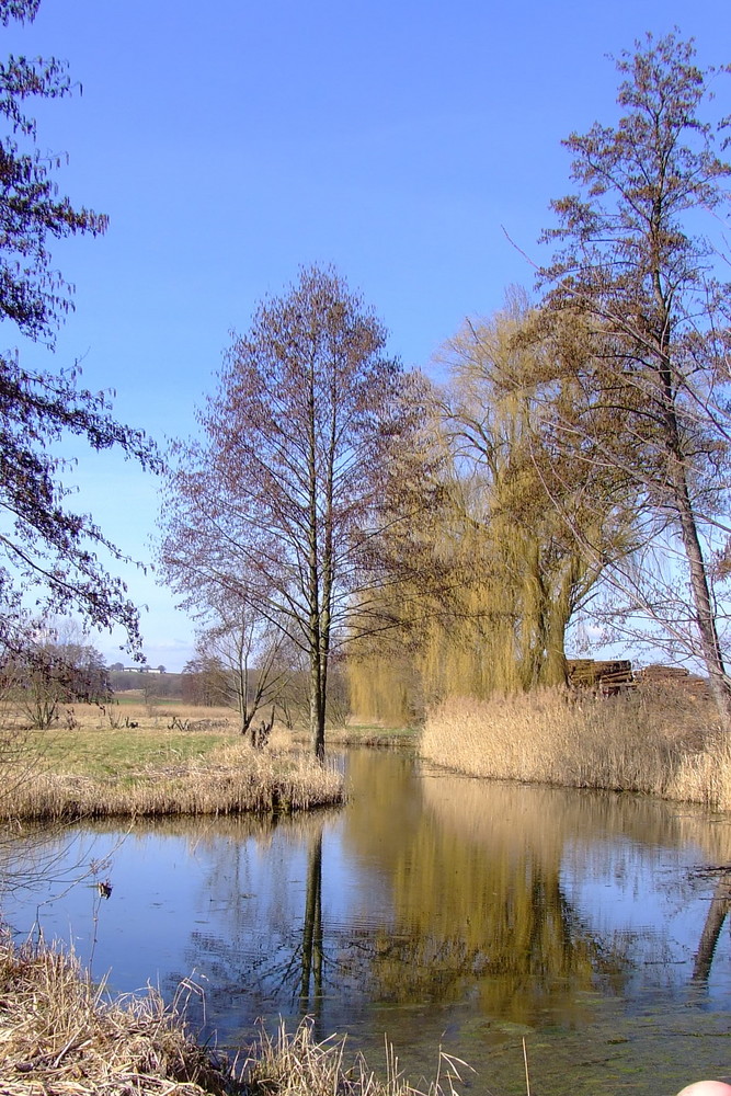 Der Frühling kommt bald.