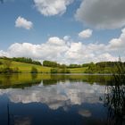 Der Frühling kommt bald