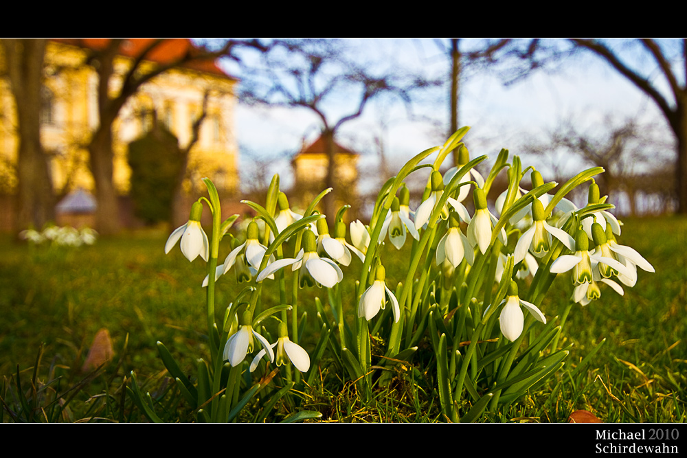 Der Frühling kommt!