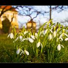 Der Frühling kommt!