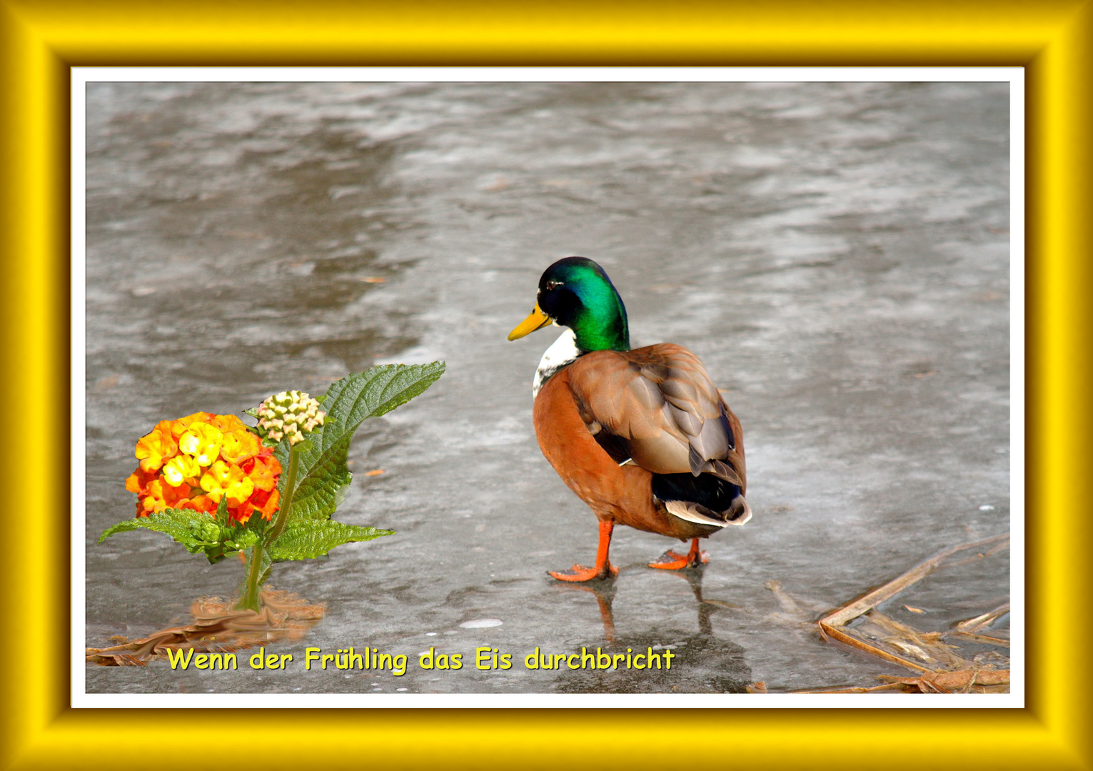 Der Frühling kommt