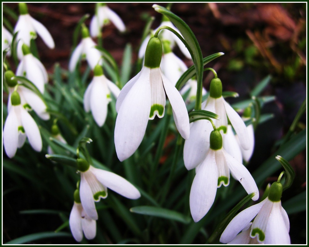 Der Frühling kommt !