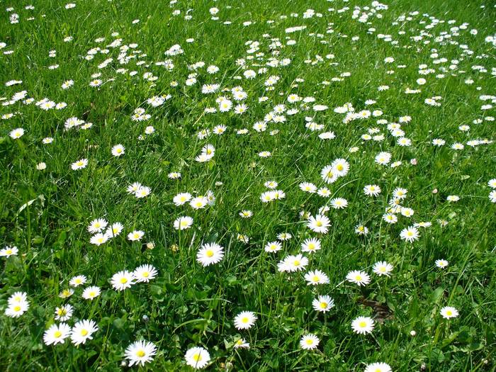 Der Frühling kommt!