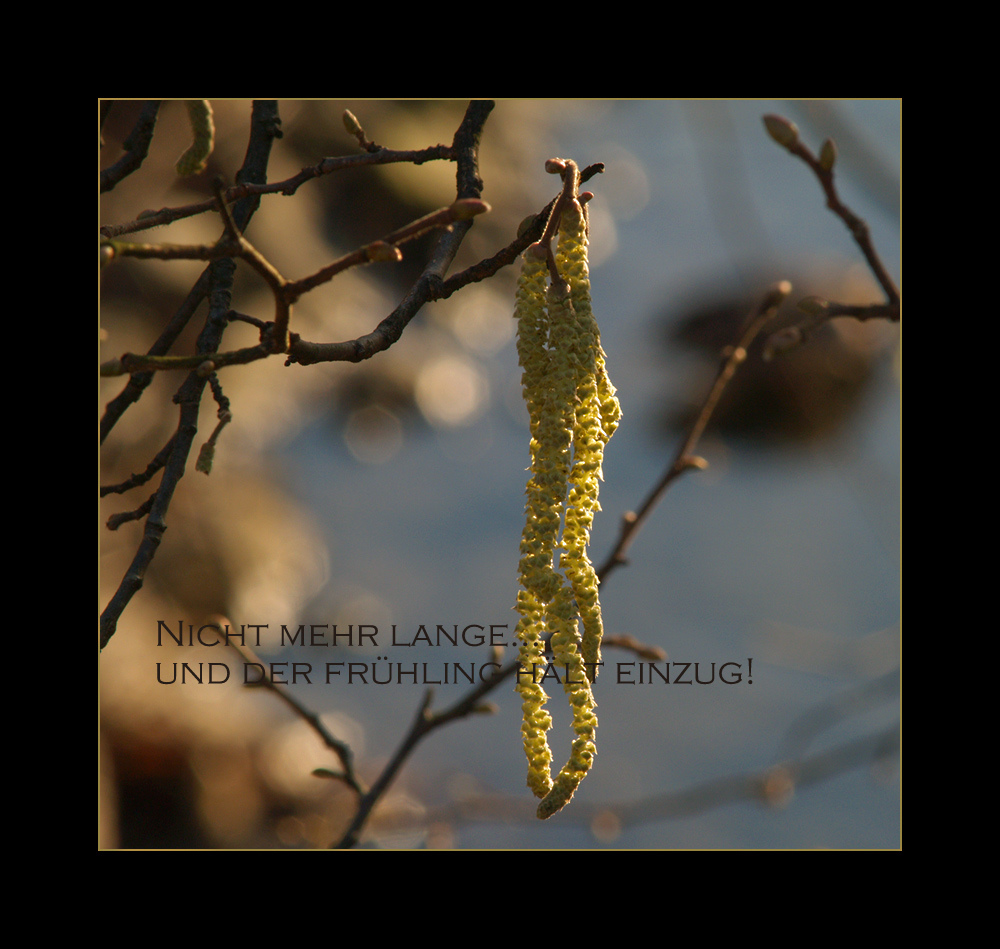 Der Frühling kommt