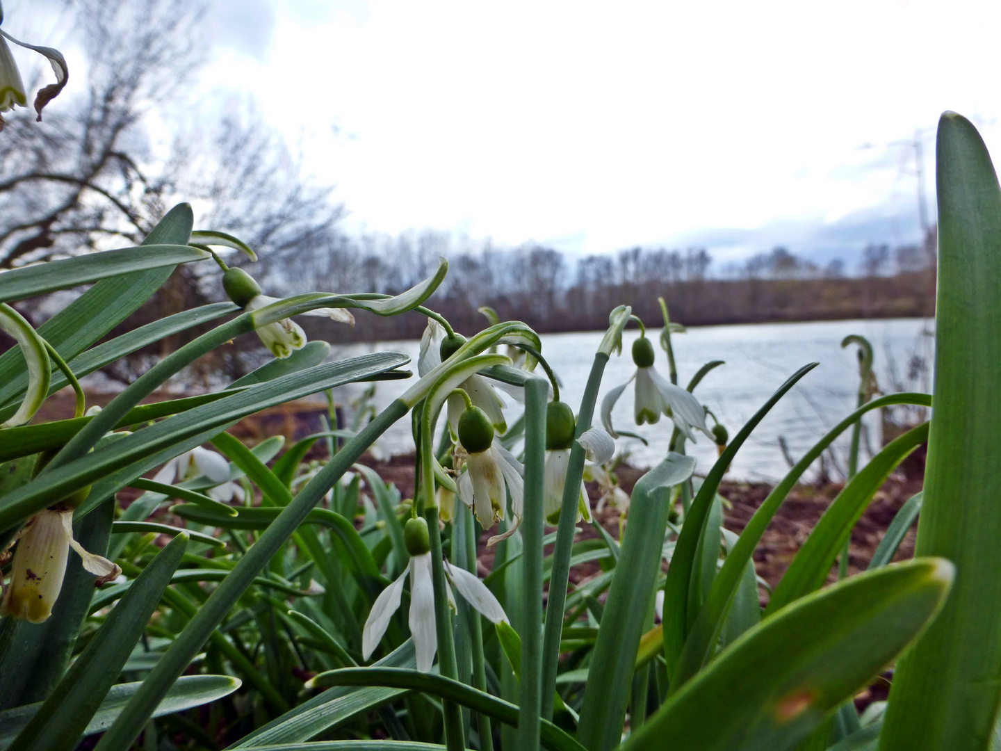 Der Frühling kommt...