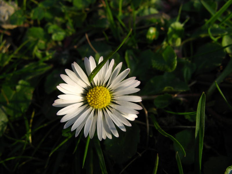 Der Frühling kommt!