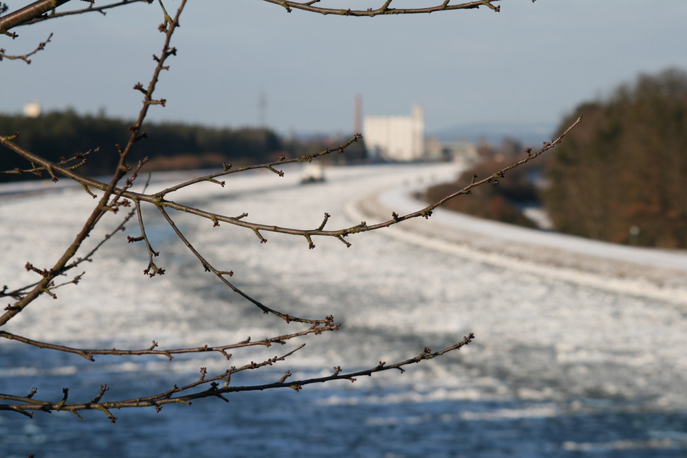 Der Frühling kommt!