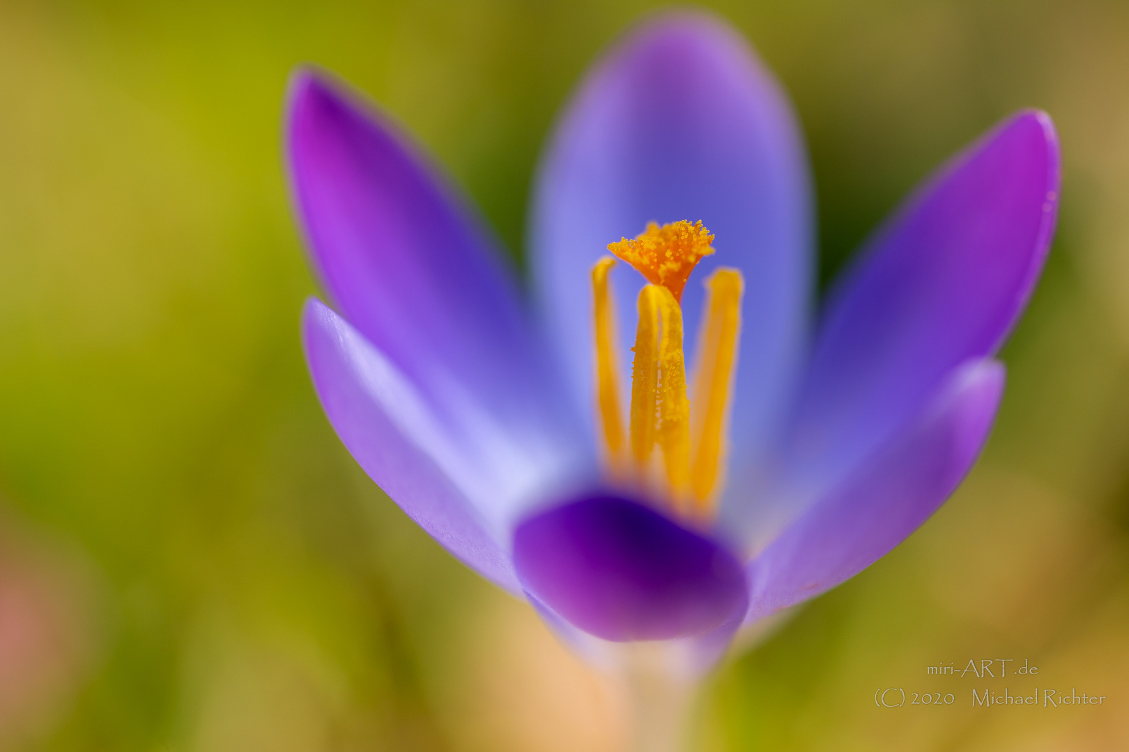 Der Frühling kommt