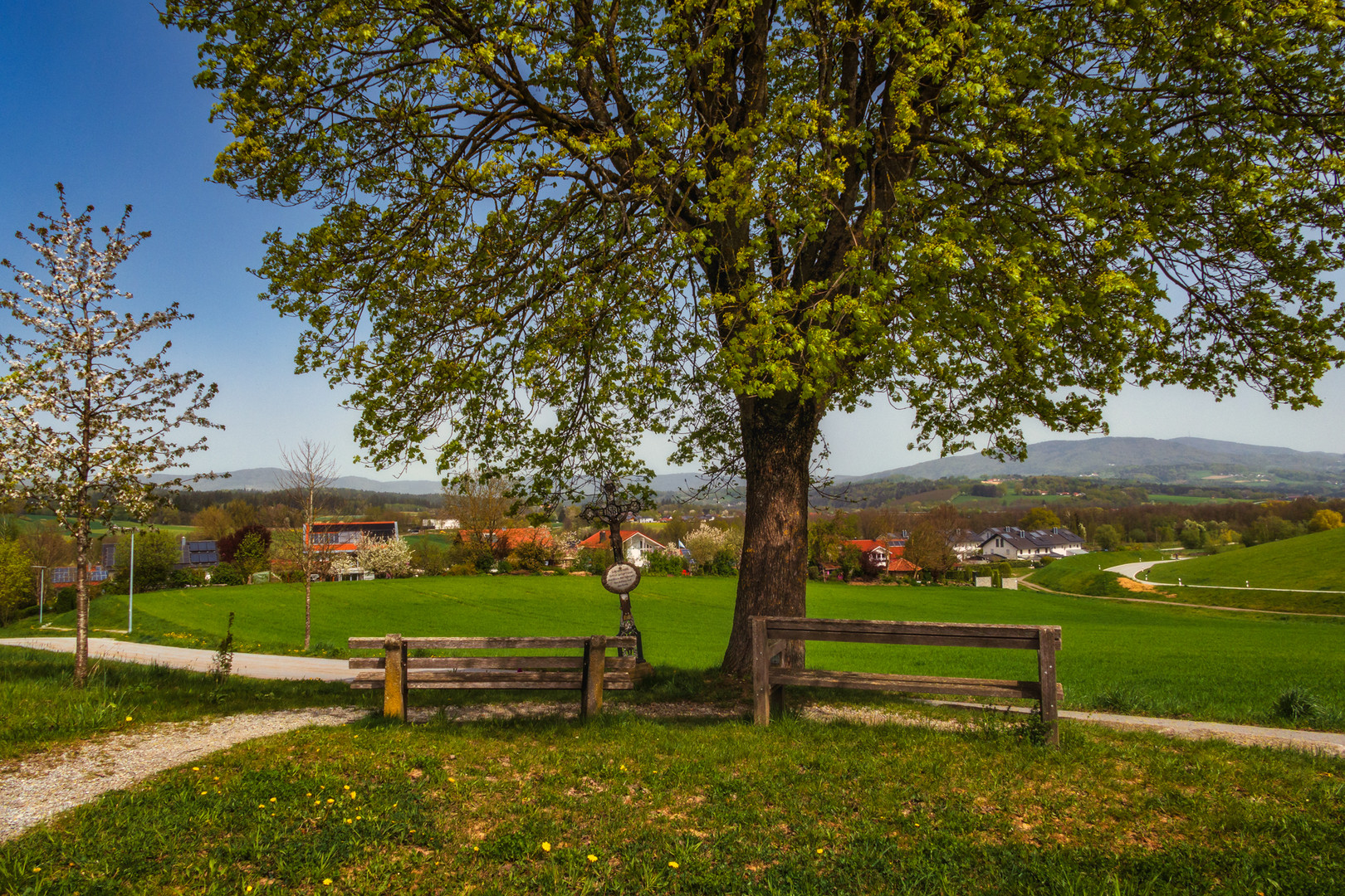 Der Frühling kommt