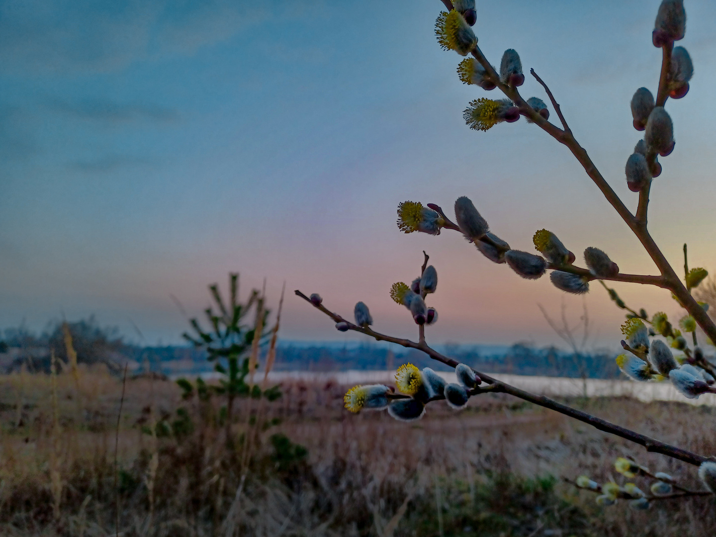 Der Frühling kommt