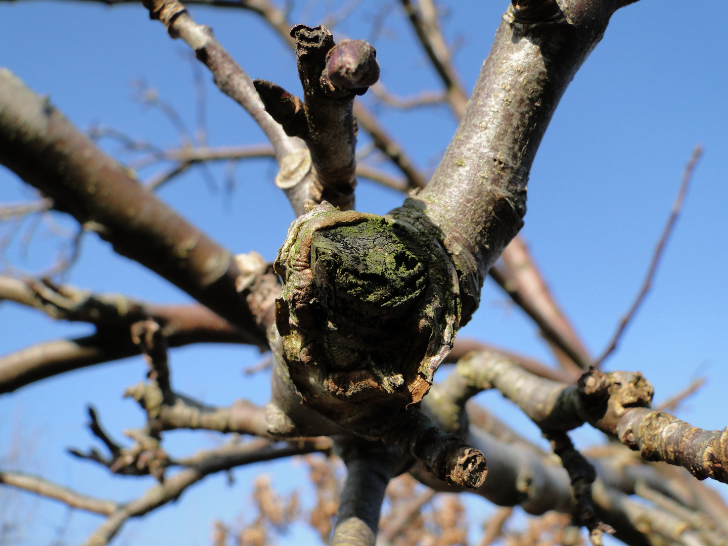 Der Frühling kommt!?