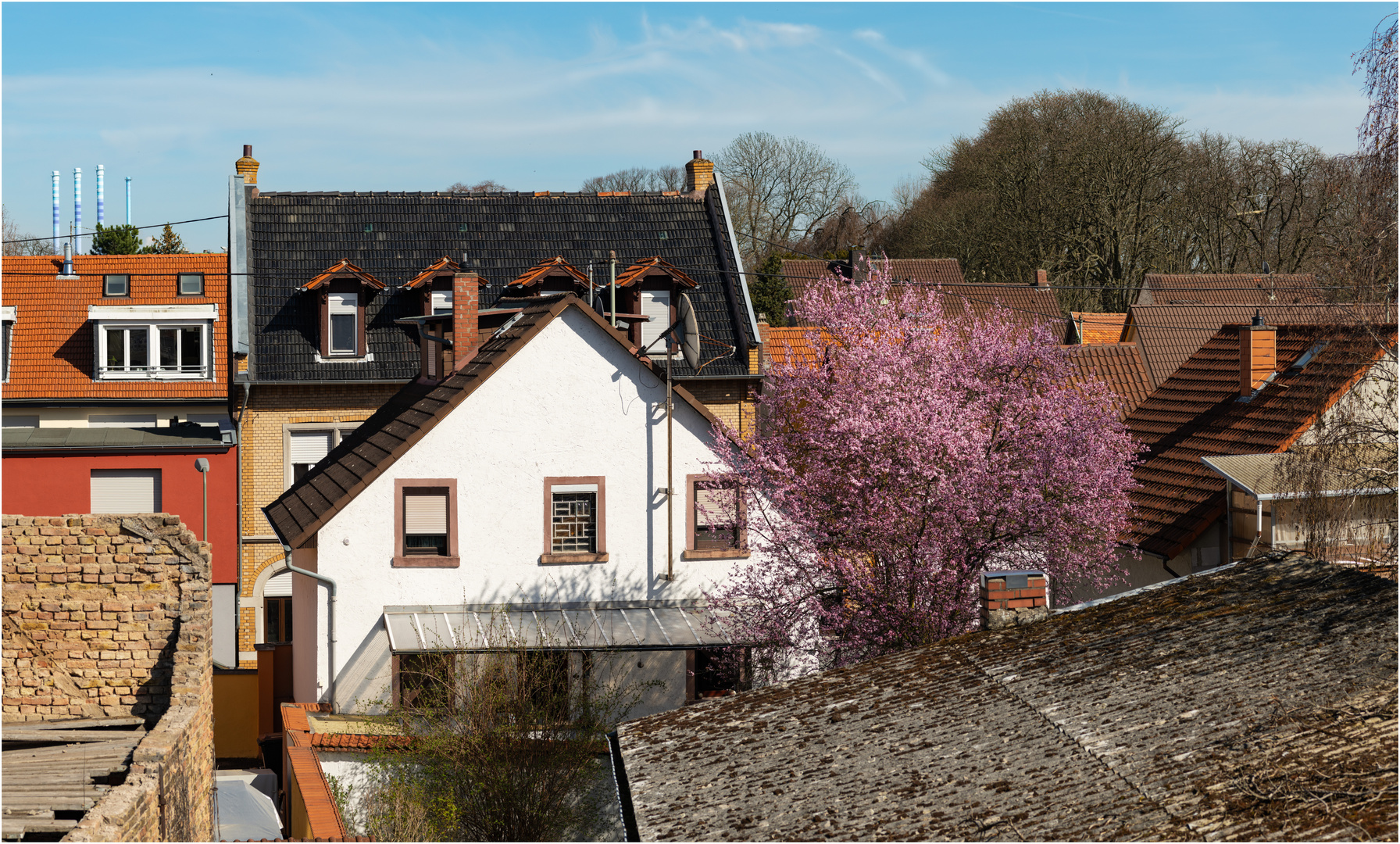 Der Frühling kommt!