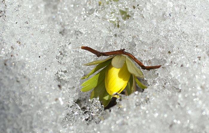 Der Frühling kommt!