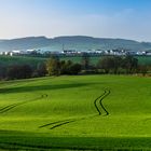 der Frühling kommt