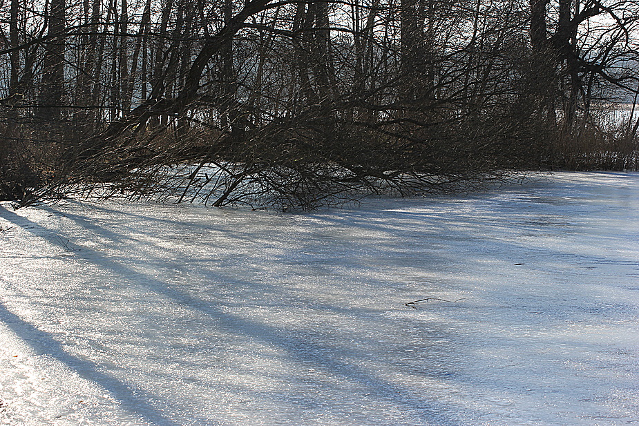 Der Frühling kommt