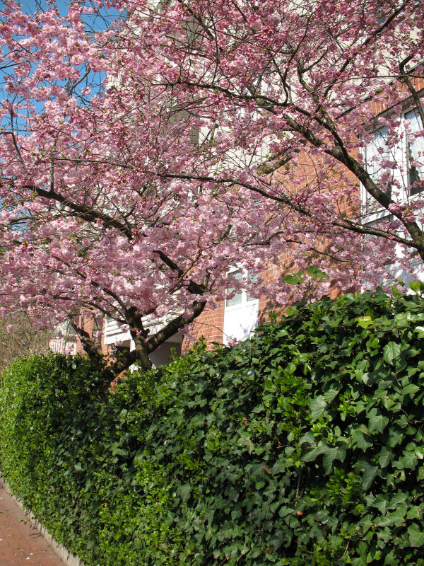 Der Frühling kommt