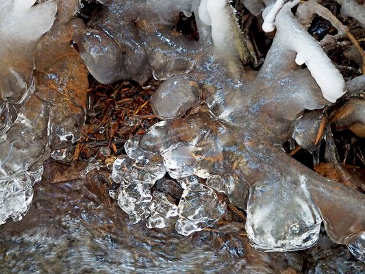 Der Frühling kommt gewiss, unterdessen geniessen wir noch die schönen Seiten vom Winter!