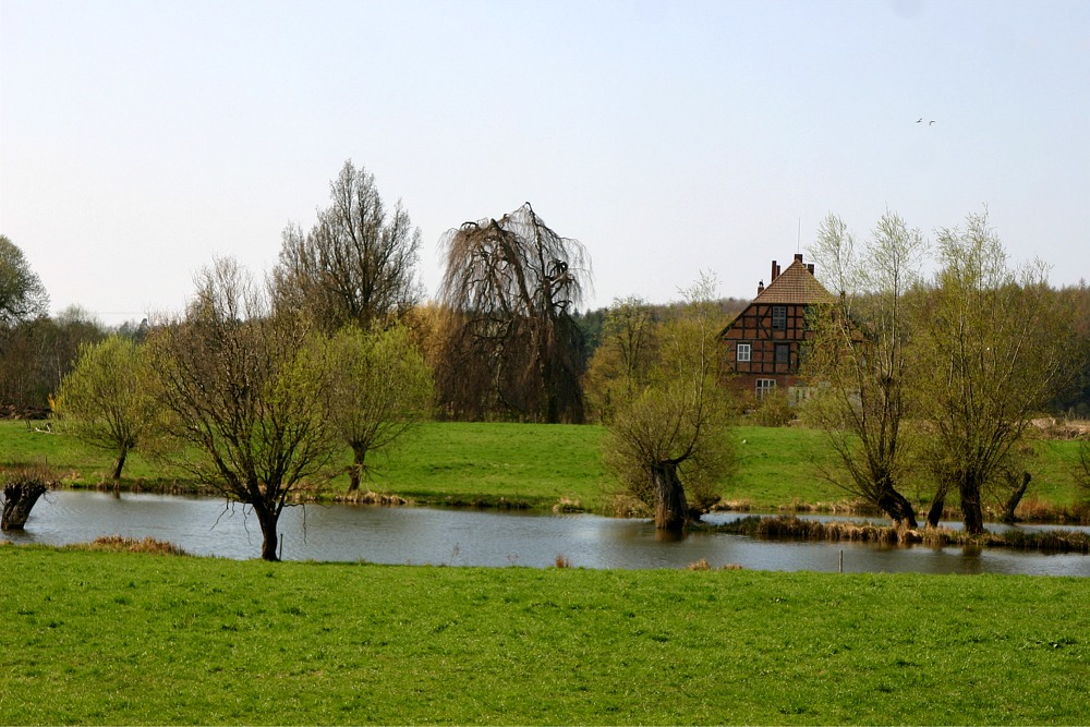 Der Frühling kommt, hier in Lübsee in Mecklenburg